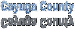 Cayuga County